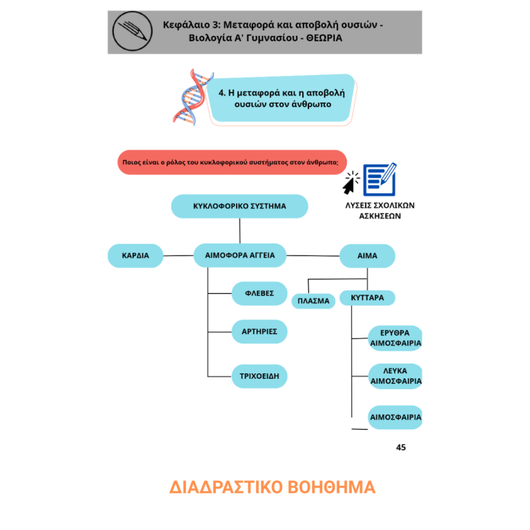 ΓΥΜΝΑΣΙΟ - ΔΙΑΔΡΑΣΤΙΚΟ ΒΟΗΘΗΜΑ